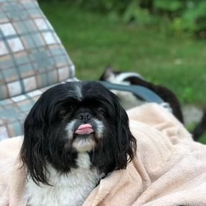 Meet your Posher, Carli